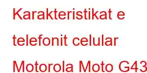 Karakteristikat e telefonit celular Motorola Moto G43