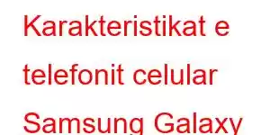 Karakteristikat e telefonit celular Samsung Galaxy M02