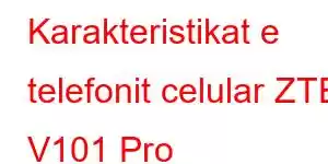 Karakteristikat e telefonit celular ZTE V101 Pro