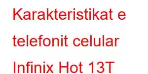 Karakteristikat e telefonit celular Infinix Hot 13T