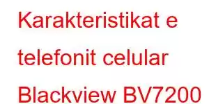 Karakteristikat e telefonit celular Blackview BV7200