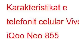 Karakteristikat e telefonit celular Vivo iQoo Neo 855