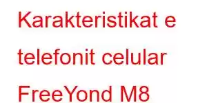 Karakteristikat e telefonit celular FreeYond M8