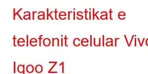 Karakteristikat e telefonit celular Vivo Iqoo Z1