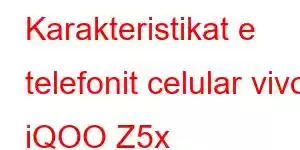 Karakteristikat e telefonit celular vivo iQOO Z5x