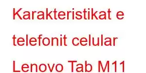 Karakteristikat e telefonit celular Lenovo Tab M11
