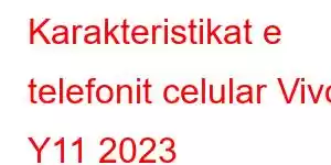 Karakteristikat e telefonit celular Vivo Y11 2023