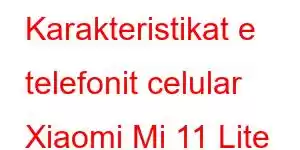 Karakteristikat e telefonit celular Xiaomi Mi 11 Lite