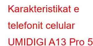 Karakteristikat e telefonit celular UMIDIGI A13 Pro 5G