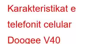 Karakteristikat e telefonit celular Doogee V40