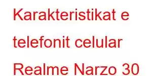 Karakteristikat e telefonit celular Realme Narzo 30