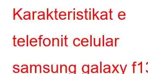 Karakteristikat e telefonit celular samsung galaxy f13