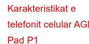 Karakteristikat e telefonit celular AGM Pad P1