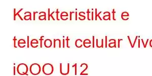 Karakteristikat e telefonit celular Vivo iQOO U12