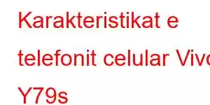 Karakteristikat e telefonit celular Vivo Y79s