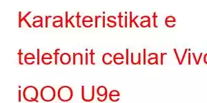 Karakteristikat e telefonit celular Vivo iQOO U9e