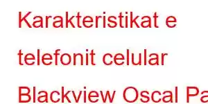 Karakteristikat e telefonit celular Blackview Oscal Pad 13