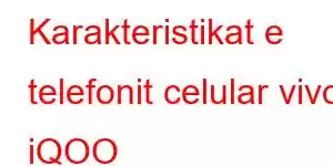 Karakteristikat e telefonit celular vivo iQOO