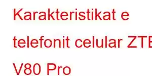 Karakteristikat e telefonit celular ZTE V80 Pro