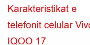 Karakteristikat e telefonit celular Vivo IQOO 17