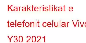 Karakteristikat e telefonit celular Vivo Y30 2021