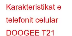 Karakteristikat e telefonit celular DOOGEE T21