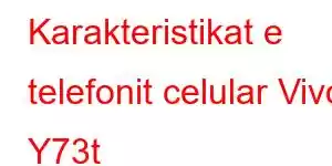 Karakteristikat e telefonit celular Vivo Y73t