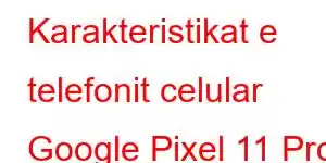 Karakteristikat e telefonit celular Google Pixel 11 Pro