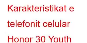 Karakteristikat e telefonit celular Honor 30 Youth