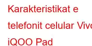 Karakteristikat e telefonit celular Vivo iQOO Pad