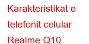 Karakteristikat e telefonit celular Realme Q10