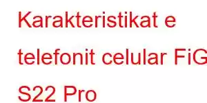 Karakteristikat e telefonit celular FiGi S22 Pro