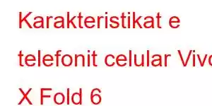 Karakteristikat e telefonit celular Vivo X Fold 6