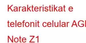 Karakteristikat e telefonit celular AGM Note Z1