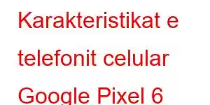 Karakteristikat e telefonit celular Google Pixel 6