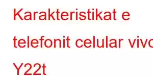 Karakteristikat e telefonit celular vivo Y22t