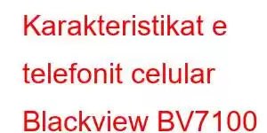 Karakteristikat e telefonit celular Blackview BV7100