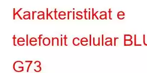 Karakteristikat e telefonit celular BLU G73