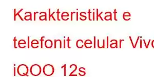 Karakteristikat e telefonit celular Vivo iQOO 12s