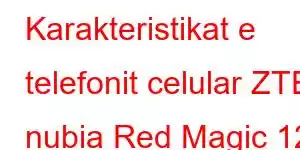 Karakteristikat e telefonit celular ZTE nubia Red Magic 12 Pro