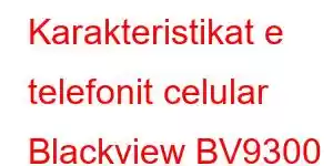 Karakteristikat e telefonit celular Blackview BV9300