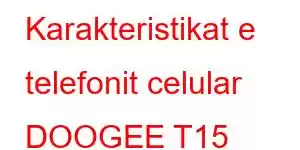 Karakteristikat e telefonit celular DOOGEE T15