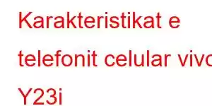 Karakteristikat e telefonit celular vivo Y23i