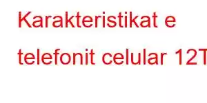 Karakteristikat e telefonit celular 12T