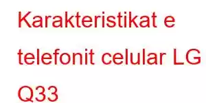 Karakteristikat e telefonit celular LG Q33