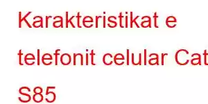 Karakteristikat e telefonit celular Cat S85