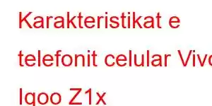 Karakteristikat e telefonit celular Vivo Iqoo Z1x