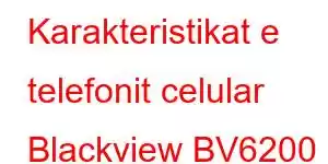 Karakteristikat e telefonit celular Blackview BV6200