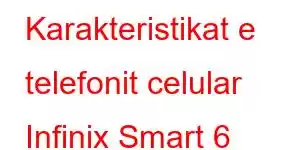 Karakteristikat e telefonit celular Infinix Smart 6