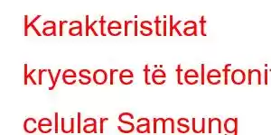 Karakteristikat kryesore të telefonit celular Samsung Galaxy A06